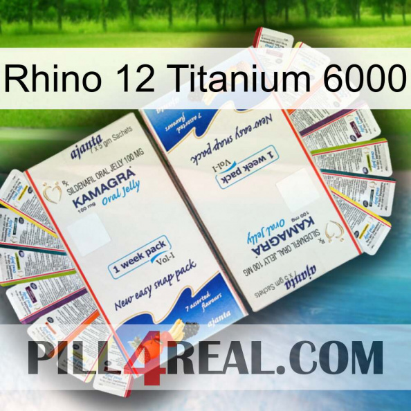 Rhino 12 Titanium 6000 kamagra1.jpg